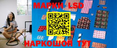 бошки Гатчина