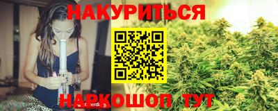 стаф Гай