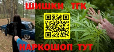 стаф Гай
