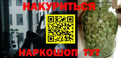 стаф Гай
