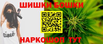 стаф Гай