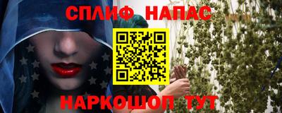 стаф Гай