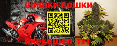 бошки Гатчина