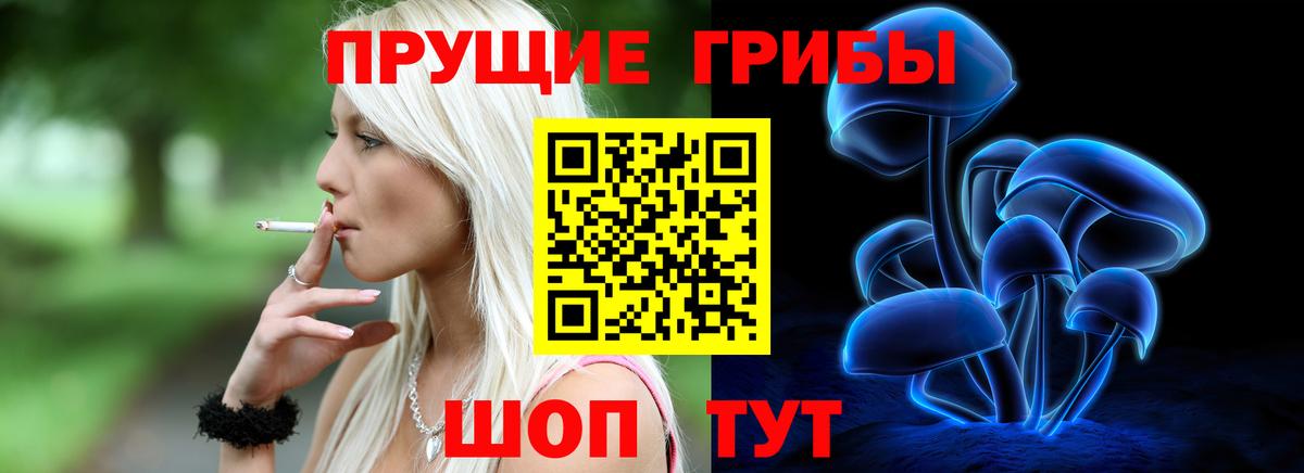 Псилоцибиновые грибы GOLDEN TEACHER  Вход с VPN  Каменка 